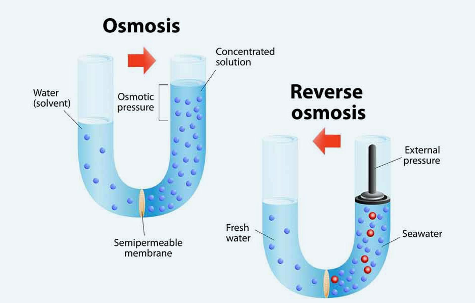 Reverse Osmosis Explained.